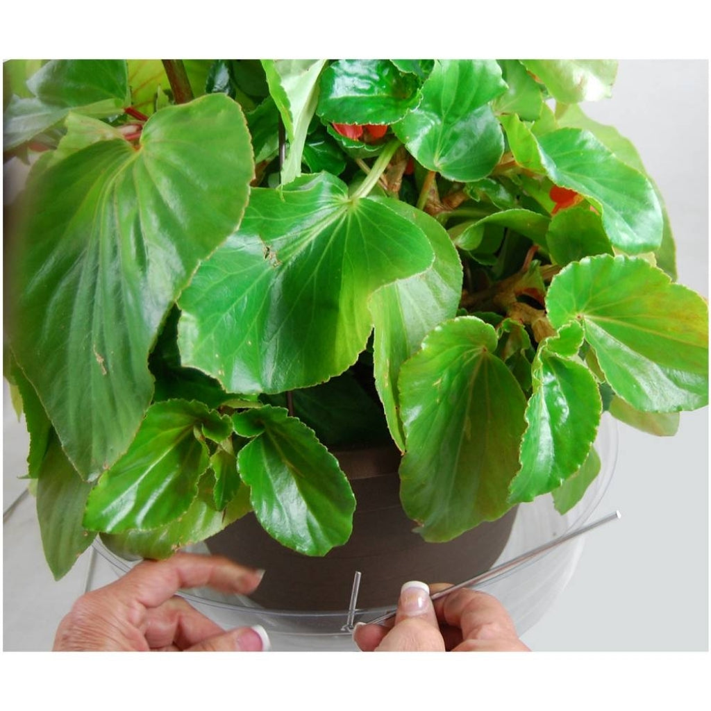 Large Hanging Basket Drip Pan - 12 Inch - Clear Vinyl