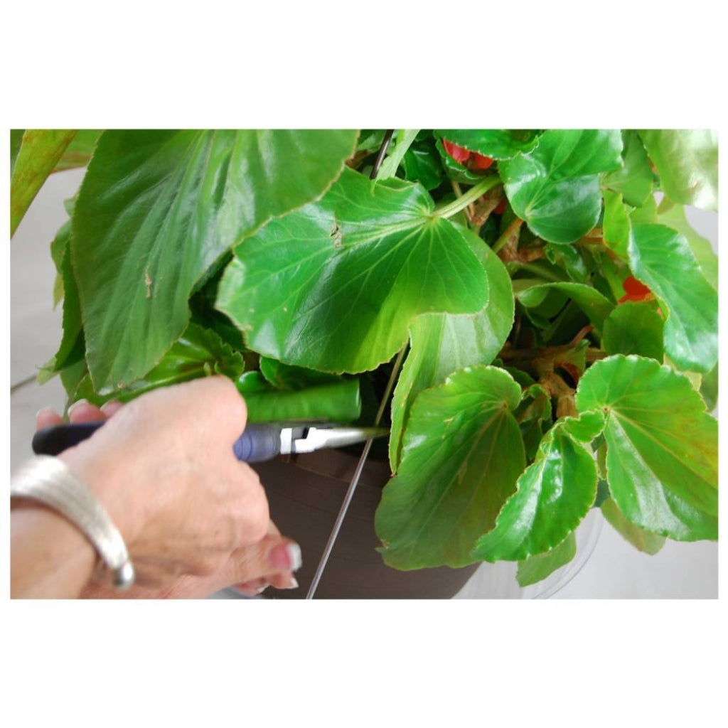 Large Hanging Basket Drip Pan - 12 Inch - Clear Vinyl