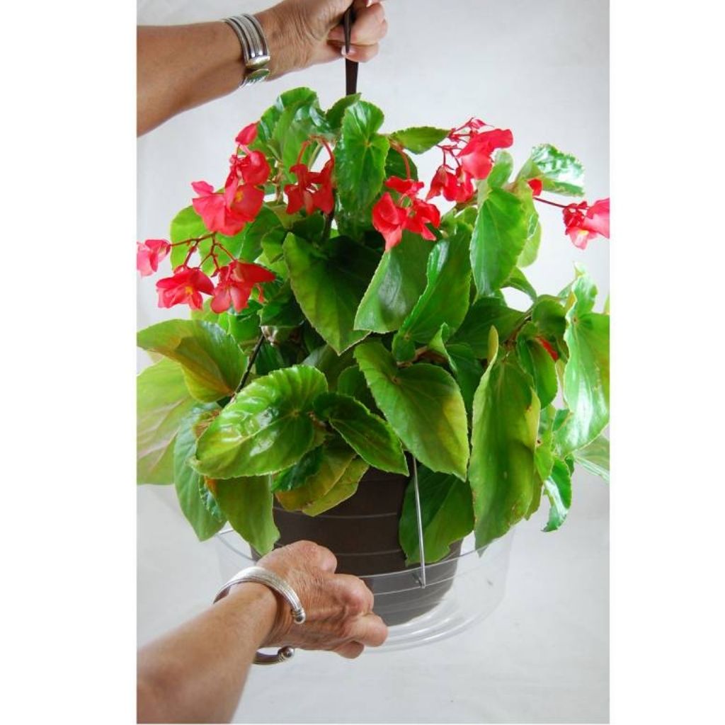 Large Hanging Basket Drip Pan - 12 Inch - Clear Vinyl