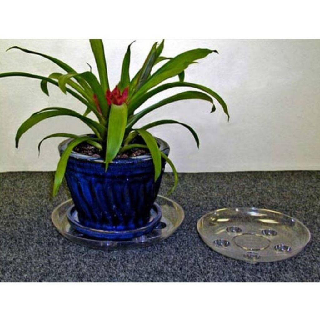 14" Clear Carpet Saver Plant Saucers