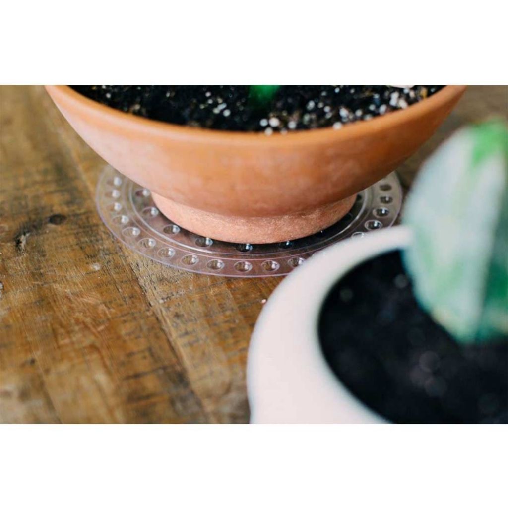 8" Clear Carpet Saver Plant Saucers